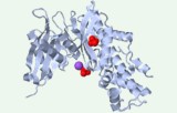 Test d'activité de l'hexokinase