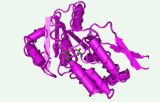 Test d'activité de la phosphatase PhosphSens