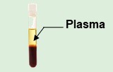 Exosomes du plasma