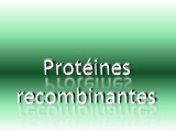 Autres protéines recombinantes