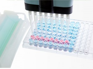 Précision accrue grâce à des kits ELISA de haute sensibilité