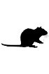 Kits de détection ABC - Anti-IgG de rat