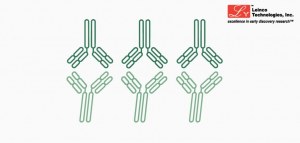 20 % de réduction sur les anticorps biosimilaires de Leinco Technologies